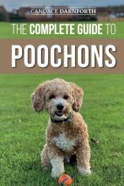 The Complete Guide To Poochons