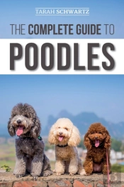 The Complete Guide To Poodles