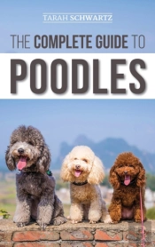 The Complete Guide To Poodles