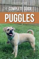 The Complete Guide To Puggles