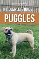 The Complete Guide To Puggles