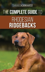 The Complete Guide To Rhodesian Ridgebacks