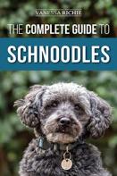 The Complete Guide To Schnoodles