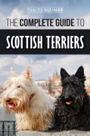 The Complete Guide To Scottish Terriers