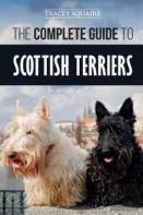 The Complete Guide To Scottish Terriers