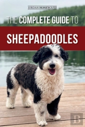 The Complete Guide To Sheepadoodles