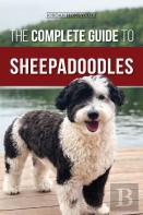 The Complete Guide To Sheepadoodles