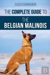 The Complete Guide To The Belgian Malinois