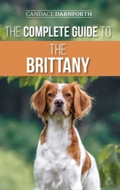 The Complete Guide To The Brittany