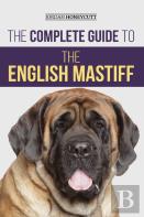 The Complete Guide To The English Mastiff