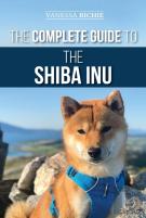 The Complete Guide To The Shiba Inu