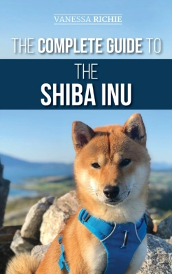 Bertrand.pt - The Complete Guide To The Shiba Inu