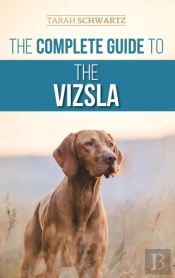 The Complete Guide To The Vizsla