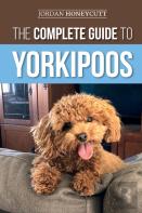 The Complete Guide To Yorkipoos