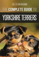 The Complete Guide To Yorkshire Terriers