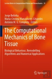 The Computational Mechanics Of Bone Tissue