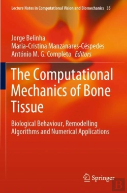 Bertrand.pt - The Computational Mechanics Of Bone Tissue