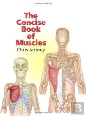 The Concise Book Of Muscles