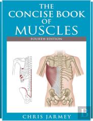 The Concise  Book Of Muscles  Fourth Edition