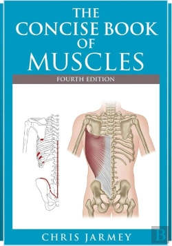 Bertrand.pt - The Concise  Book Of Muscles  Fourth Edition