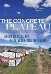 The Concrete Plateau