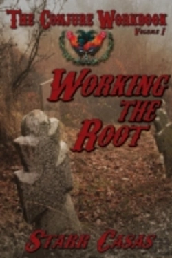 Bertrand.pt - The Conjure Workbook Volume 1