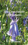 The Consolation Of Bluebells