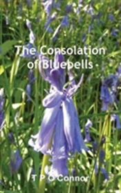 The Consolation Of Bluebells