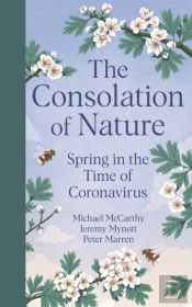 The Consolation Of Nature