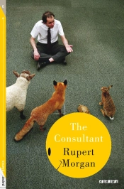 The Consultant