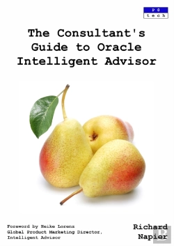 Bertrand.pt - The Consultant'S Guide To Oracle Intelligent Advisor