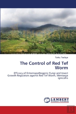 Bertrand.pt - The Control Of Red Tef Worm