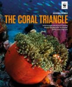 Bertrand.pt - The Coral Triangle