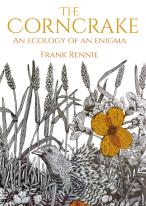 The Corncrake