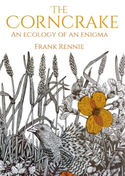 Bertrand.pt - The Corncrake