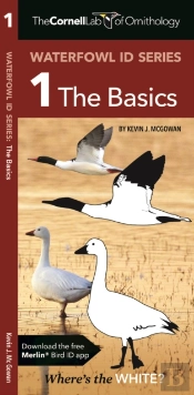 The Cornell Lab Of Ornithology Waterfowl Id 1 The Basics