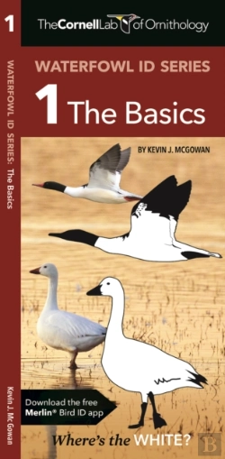 Bertrand.pt - The Cornell Lab Of Ornithology Waterfowl Id 1 The Basics