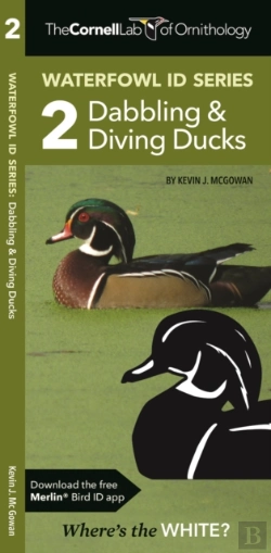 Bertrand.pt - The Cornell Lab Of Ornithology Waterfowl Id 2 Dabbling & Diving Ducks