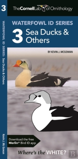 Bertrand.pt - The Cornell Lab Of Ornithology Waterfowl Id 3 Sea Ducks & Others
