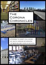 The Corona Chronicles