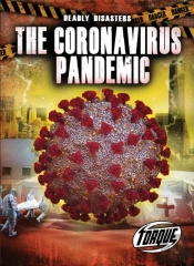The Corona Virus Pandemic