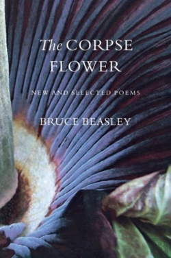 Bertrand.pt - The Corpse Flower