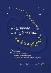 The Cosmos In The Cauldron