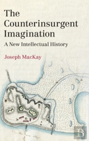 The Counterinsurgent Imagination