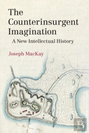 The Counterinsurgent Imagination