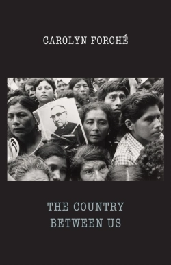 Bertrand.pt - The Country Between Us