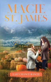 The Cowboy'S Surprise Bride