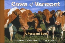 Bertrand.pt - The Cows Of Vermont