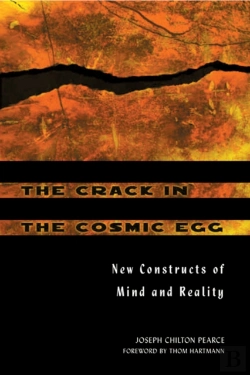 Bertrand.pt - The Crack In The Cosmic Egg