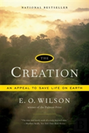 The Creation